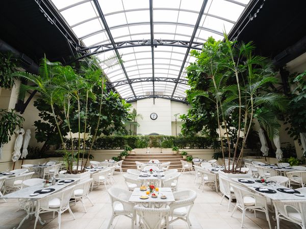 Elegant dining setup in the glass-roofed winter garden at Fierro Hotel Buenos Aires, featuring white wicker furniture and lush tropical plants.