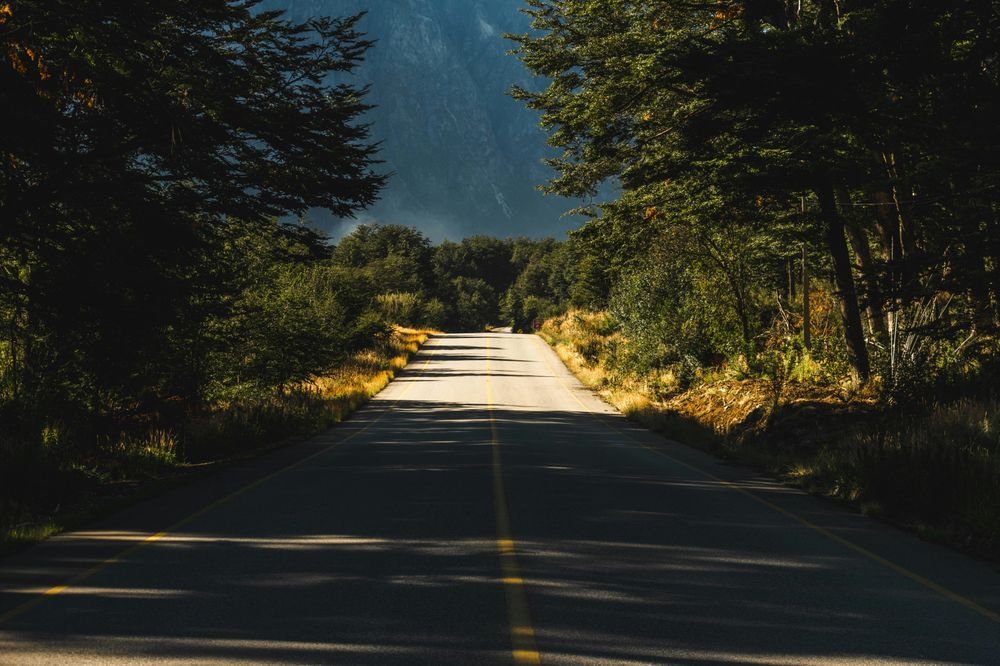Straight asphalt road through dense Patagonian forest with mountain backdrop on the scenic Carretera Austral near Coyhaique.