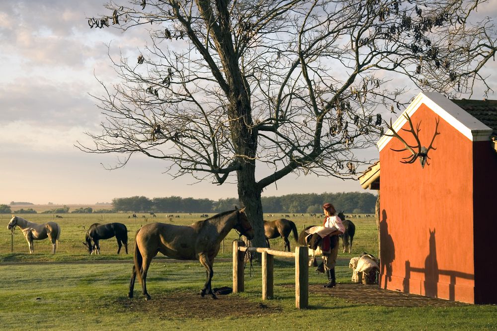 La Bamba de Areco Estancia