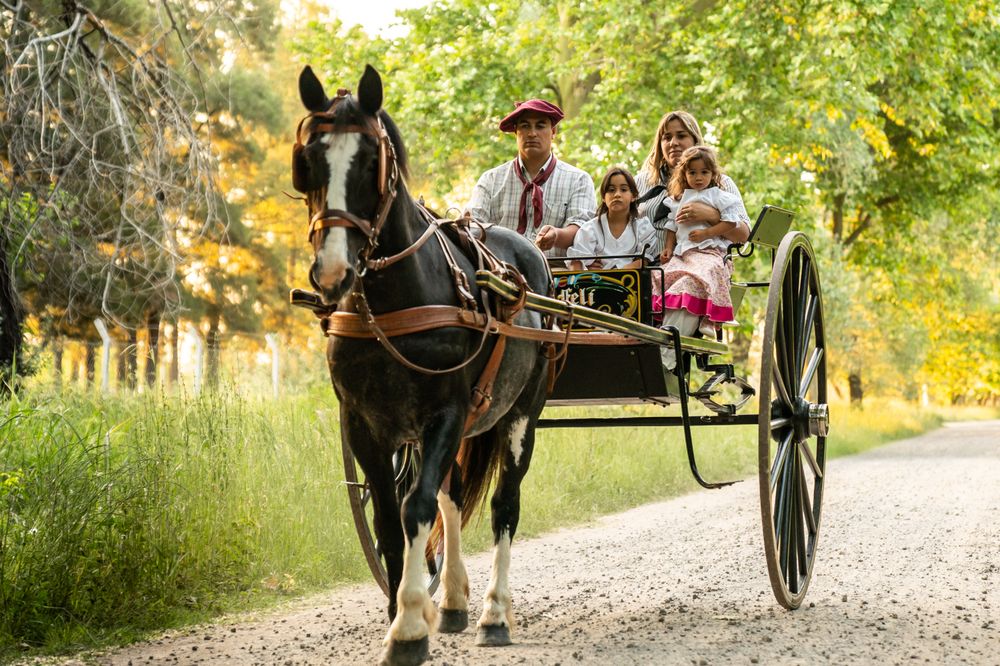 Family riding in a horse-drawn cart through a tree-lined rural road in Buenos Aires province, Argentina.