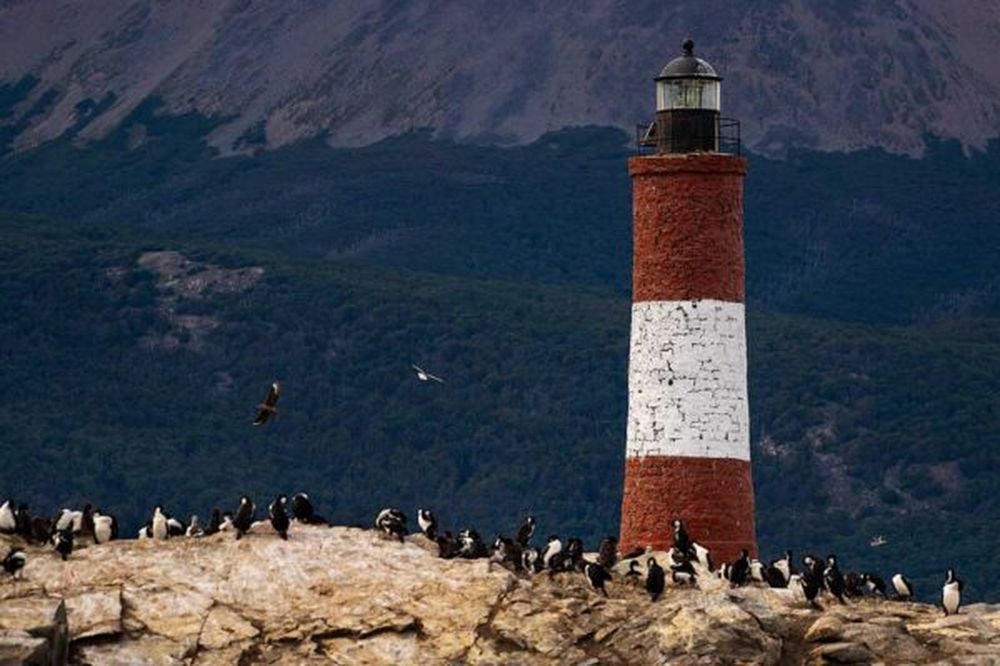Red and white striped lighthouse on a rocky island covered in cormorants, with dark mountains and trees in the background.