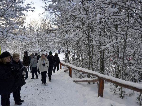 Visitors explore a snowy forest boardwalk on the Tren Fin del Mundo train journey in Ushuaia, Argentina.