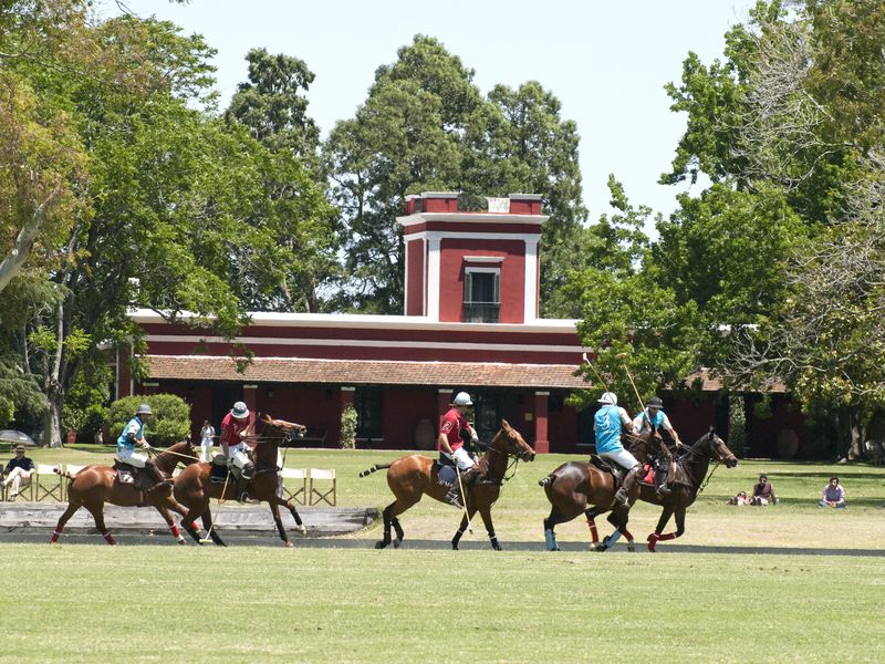 Polo players on horseback compete on the grass field at La Bamba de Areco estancia near Buenos Aires.