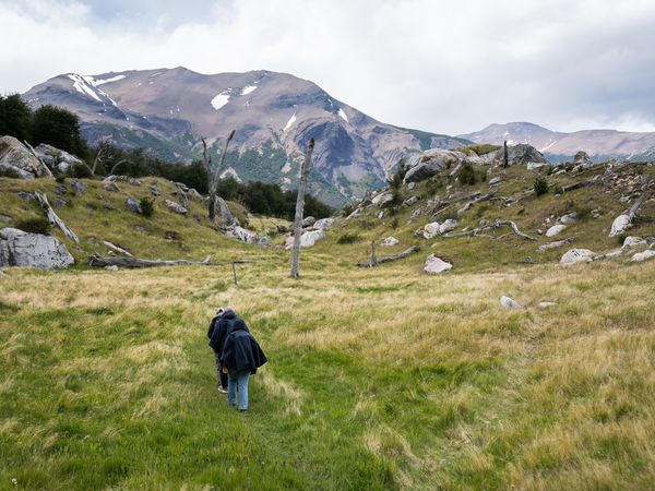 Hiker trekking through alpine meadow toward snow-capped volcano in Patagonian wilderness.