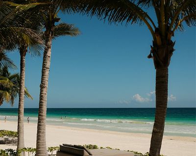 Tropical beach with palm trees, turquoise ocean, and sandy shore under clear blue sky.