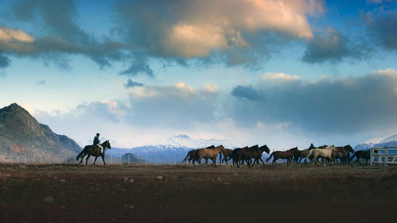 Rider on horseback guiding a herd of horses across a vast plain with mountains under a blue, cloudy sky. at Estancia Cristina