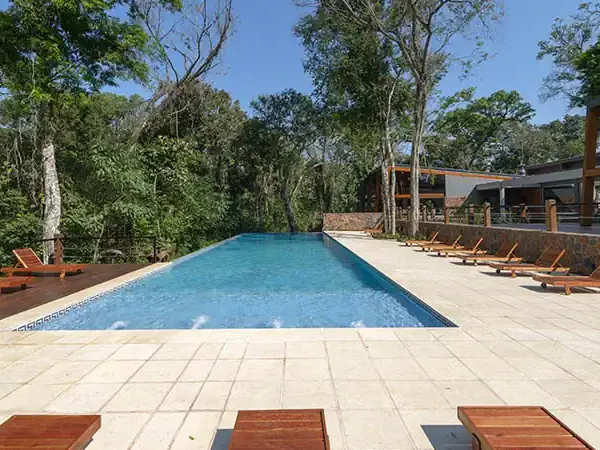 Luxury resort pool surrounded by native forest at Selvaje Lodge with wooden loungers and modern architecture.