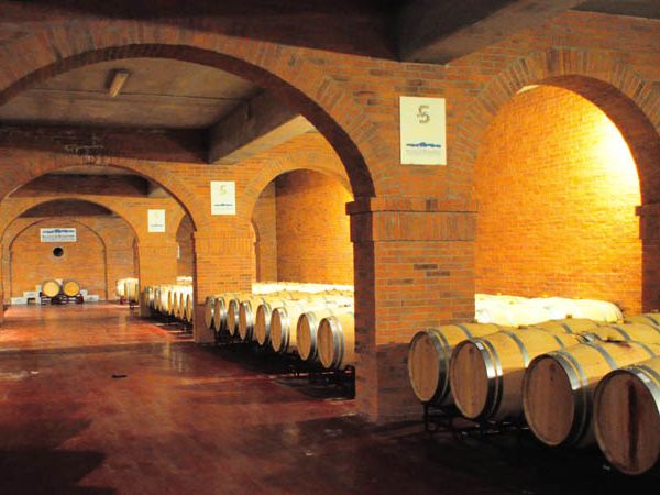 Historic wine cellar in Mendoza with wooden barrels aging wine beneath brick arches.