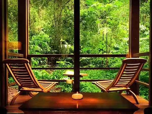Luxury lodge interior with wooden deck chairs overlooking lush forest canopy at Loi Suites resort in Patagonia.