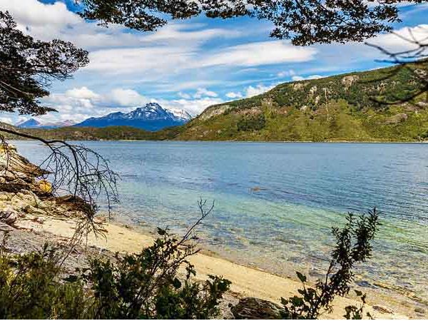 Pristine beach with turquoise waters, snow-capped mountains, and native forest in Tierra del Fuego National Park, Ushuaia.