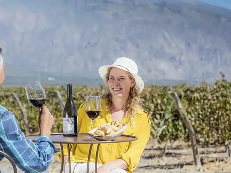 Couple enjoying wine tasting at a vineyard in Salta with mountain views and grapevines in the background.