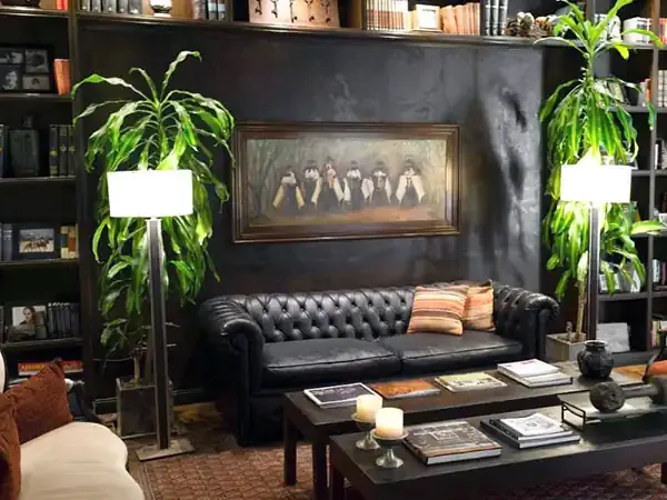 Elegant library lounge with black leather Chesterfield sofa, dark wood bookshelves, tropical plants, and vintage portrait artwork.
