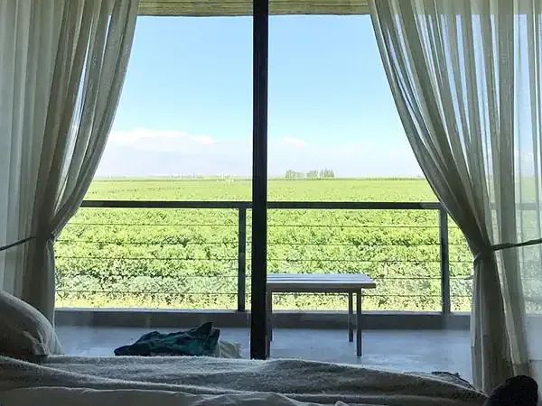 View from a bedroom window at Finca La Azul overlooking endless green agricultural fields under clear skies.