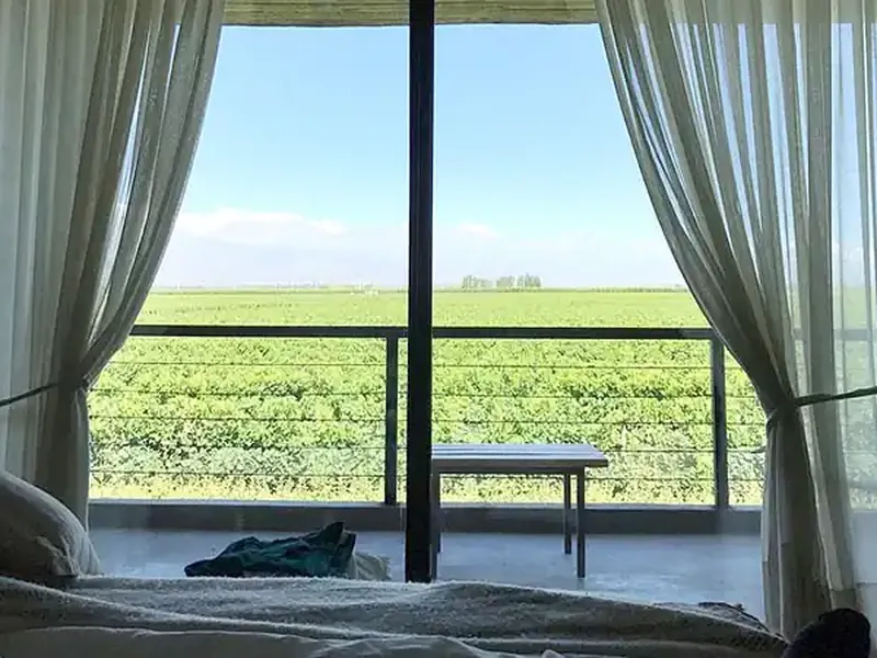 View from a bedroom window at Finca La Azul overlooking endless green agricultural fields under clear skies.