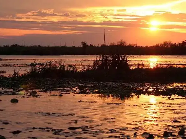 Golden sunset over wetlands with marsh grasses and still water reflecting the sky at Aguapé Lodge.