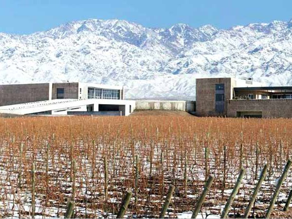 Modern winery building with snow-capped Andes mountains overlooking vineyard rows in Mendoza wine region.
