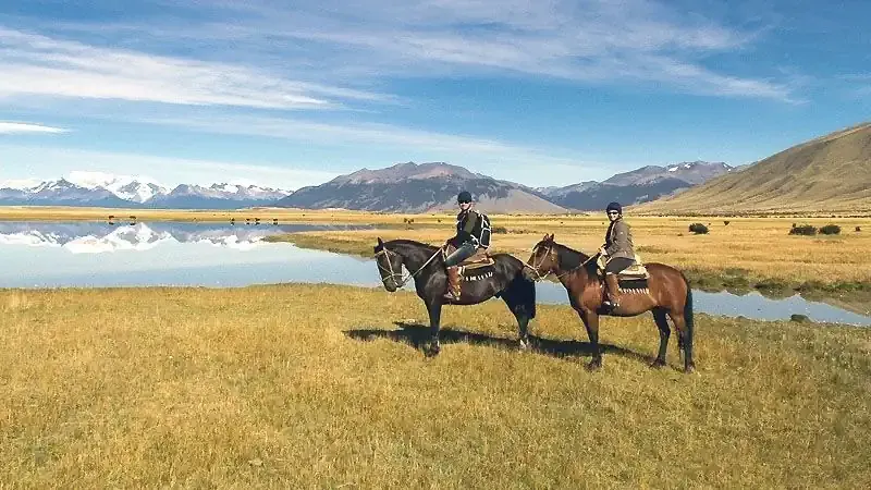 Patagonia Exclusiva: Calafate y Torres del Paine