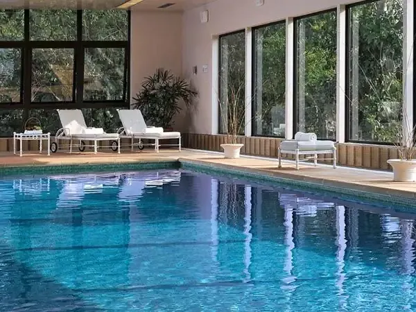 Luxury indoor pool with loungers and floor-to-ceiling windows overlooking lush forest at an Iguazú region resort.