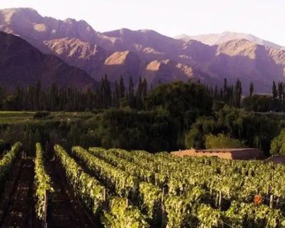 Cafayate y Valles Calchaquíes