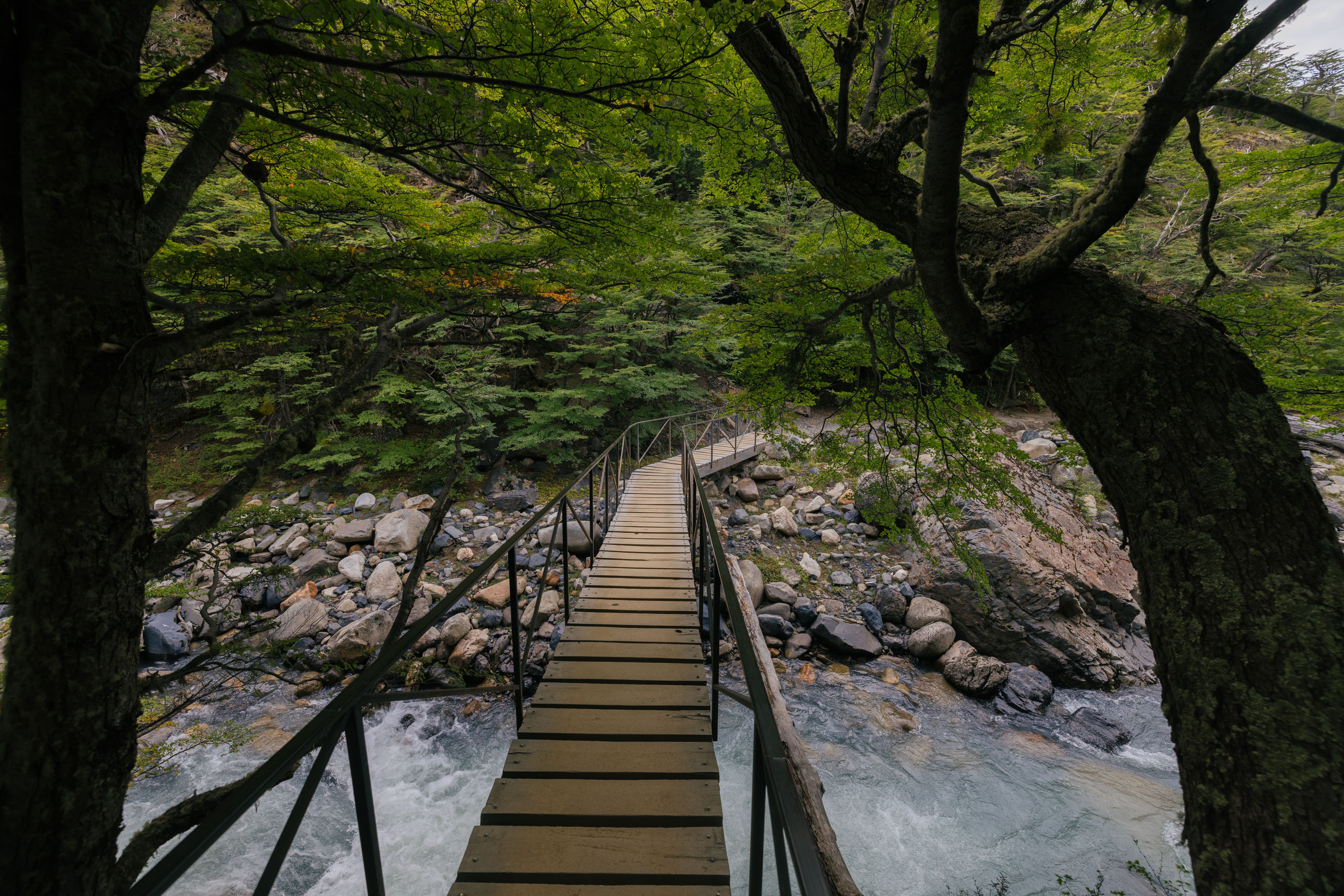 Wooden footbridge over a mountain stream in Torres del Paine National Park, a common trekking-trip destination