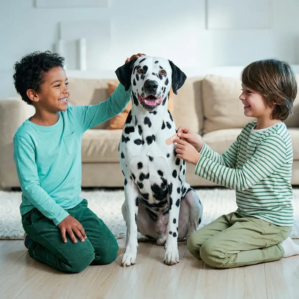 Kinder streicheln den Dalmatiner und sind glücklich