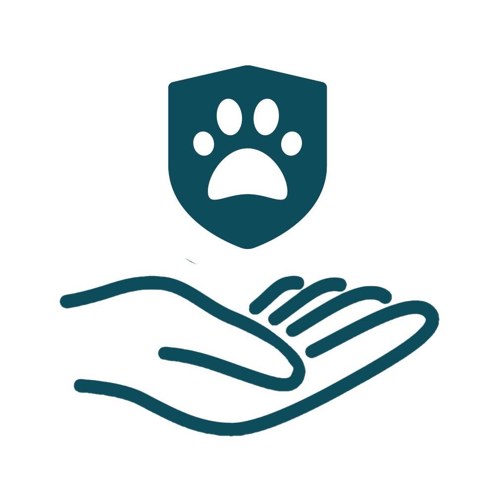 Schutz auswählen Icon