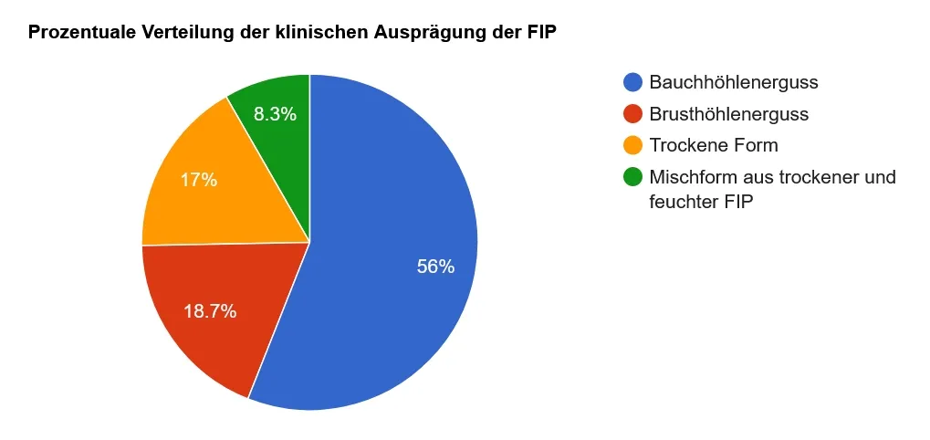 Grafik zeigt die prozentuale Verteilung der klinisches Ausprägung der FIP. Bauchhöhlenerguss ist mit 56% am höchsten