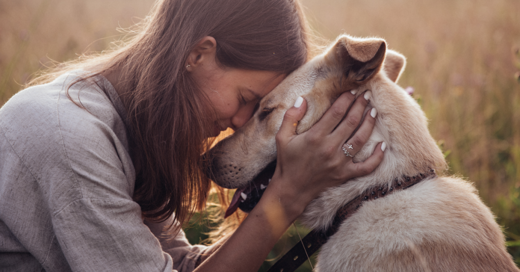 Eine Frau berührt sanft die Stirn eines Hundes auf einem Feld, beide Augen geschlossen, und vermittelt so ein Gefühl der Zuneigung und Ruhe.