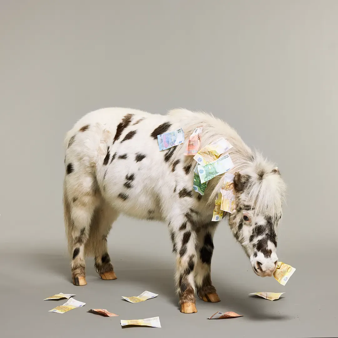 Ein kleines, geflecktes Pony, auf dessen Rücken und Boden Euro-Banknoten verstreut sind, vor einem schlichten grauen Hintergrund.