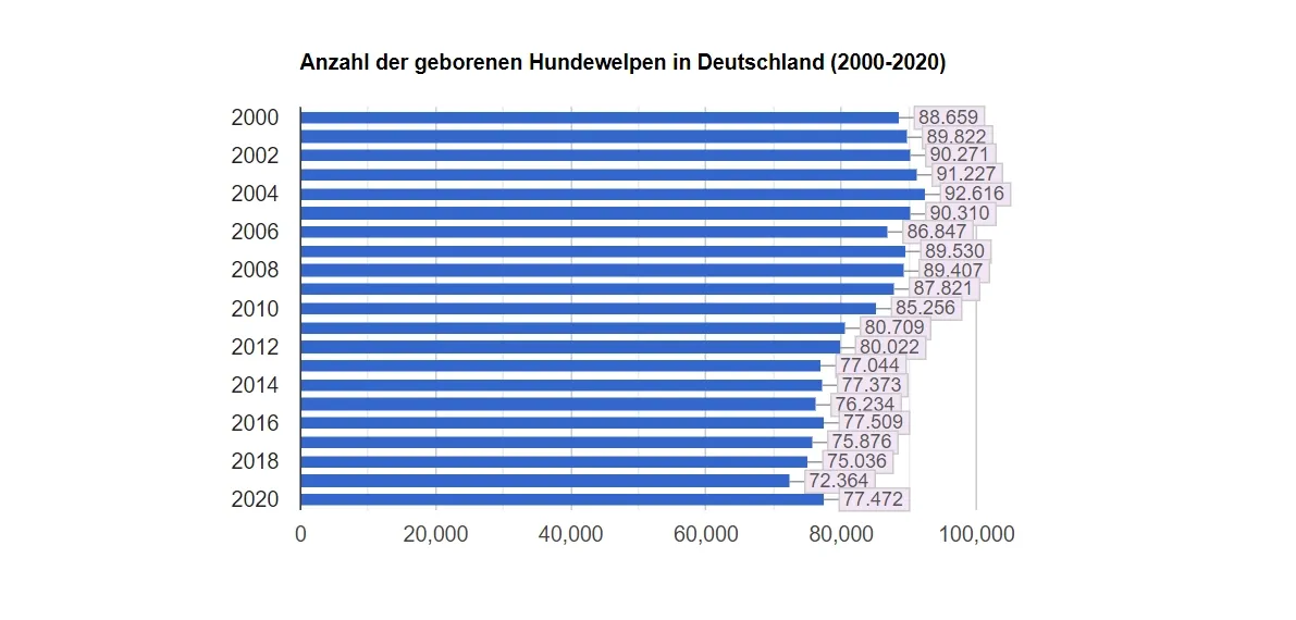 anzahl-hundegeburten-deutschland-2000-2020 Balkendiagramm mit der Anzahl der in Deutschland geborenen Welpen von 2000 bis 2020, mit Zahlen zwischen 72.364 und 91.227.