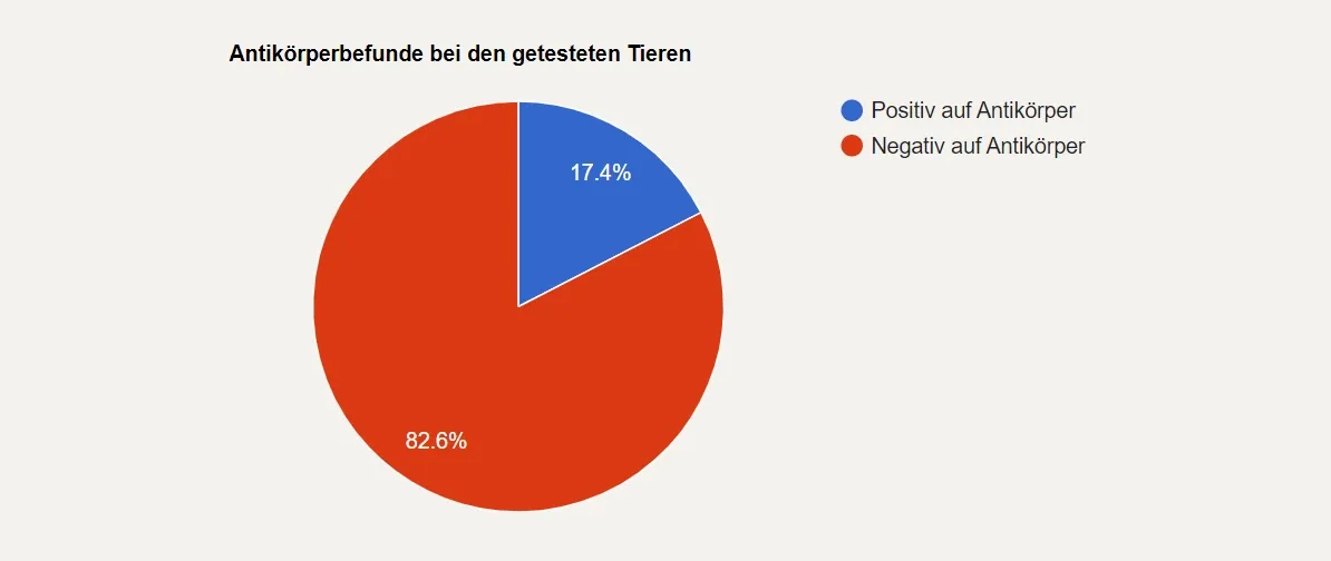 Kreisdiagramm mit dem Titel „Antikörperbefunde bei den getesteten Tieren“ mit 82,6 % negativen und 17,4 % positiven Antikörperergebnissen.