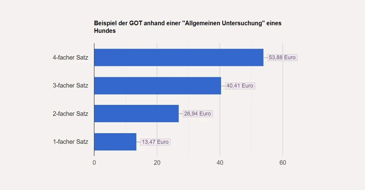 Balkendiagramm mit den Kosten in Euro für die allgemeine Untersuchung eines Hundes zu verschiedenen Tarifen: 1x (13,47), 2x (26,94), 3x (40,41), 4x (53,88).