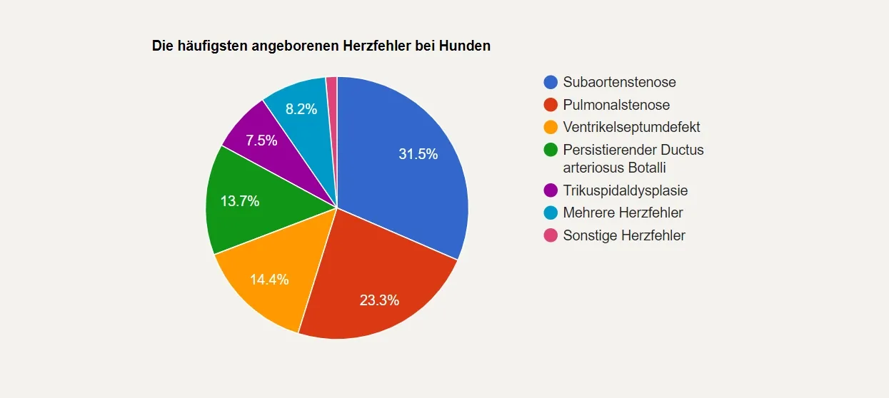 Grafik zeigt die häufigsten angeborenen Herzfehler bei Hunden.