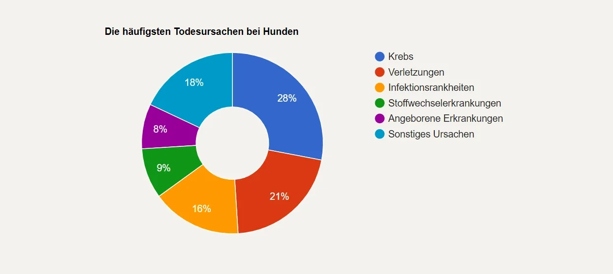 haeufigste-todesursachen-hunde Tortendiagramm der häufigsten Todesursachen bei Hunden: Krebs 28 %, Verletzungen 21 %, Infektionen 16 %, Stoffwechselerkrankungen 9 %, angeborene Erkrankungen 8 %, andere 18 %.