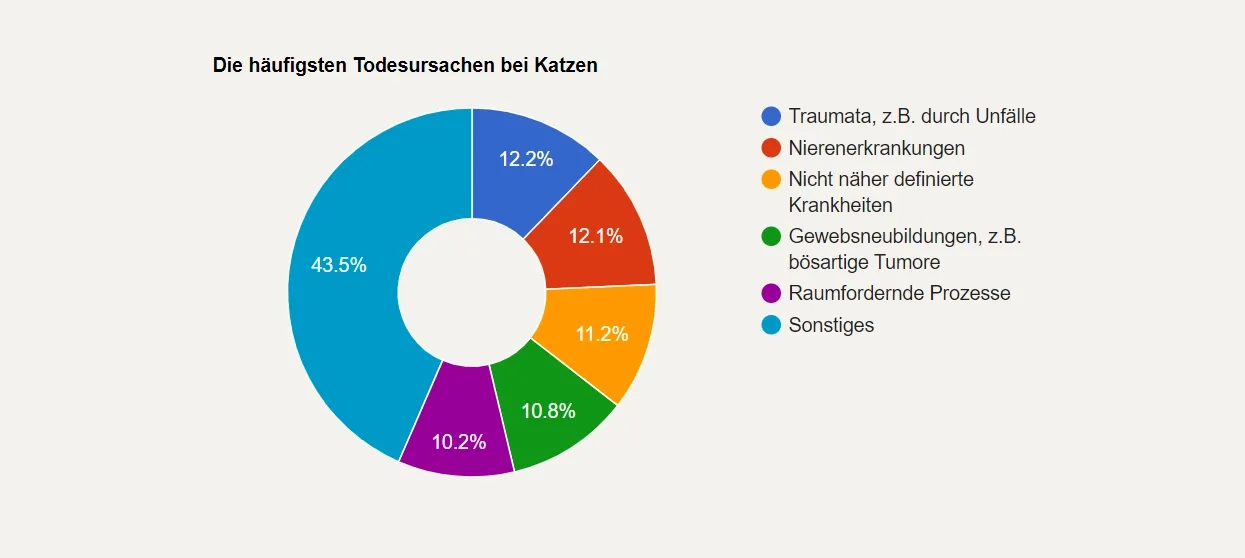 Tortendiagramm der Todesursachen bei Katzen: Trauma (12,2 %), Nierenerkrankungen (12,1 %), unbestimmte Krankheiten (10,8 %), Tumore (10,2 %), andere (43,5 %).