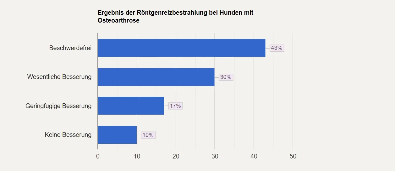 Balkendiagramm mit den Ergebnissen der Röntgentherapie bei Hunden mit Osteoarthritis: 43 % symptomfrei, 30 % deutliche Besserung, 17 % leichte Besserung, 10 % keine Besserung.