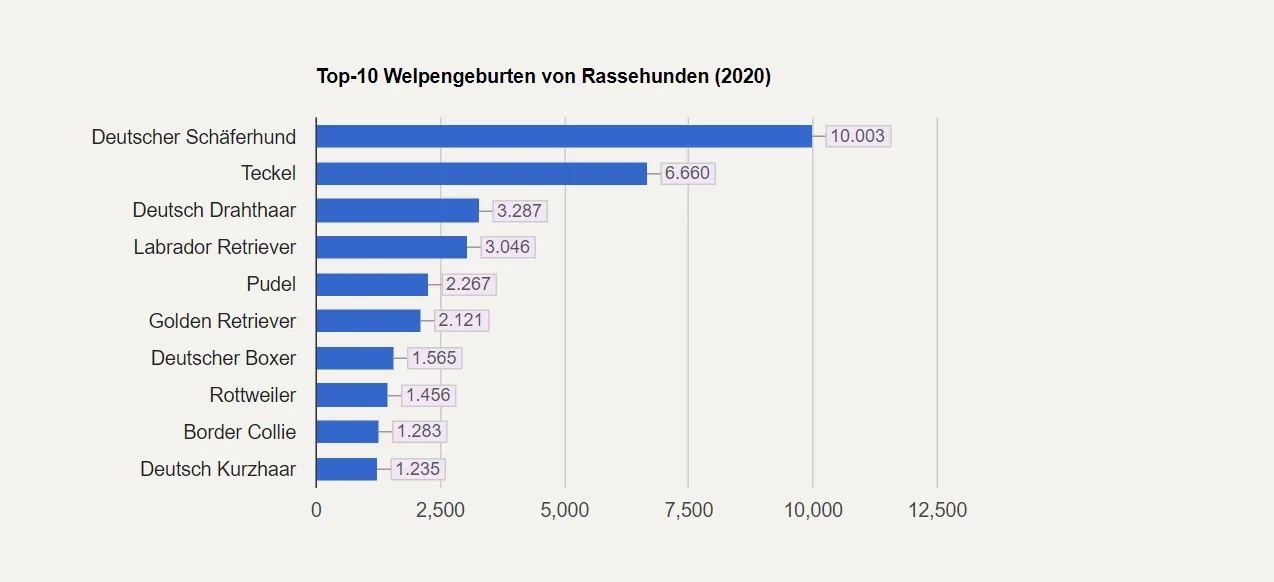 Balkendiagramm der 10 wichtigsten Hunderassen nach Geburten im Jahr 2020. Der Deutsche Schäferhund führt mit 10.003 Geburten, gefolgt vom Dackel mit 6.660 Geburten.