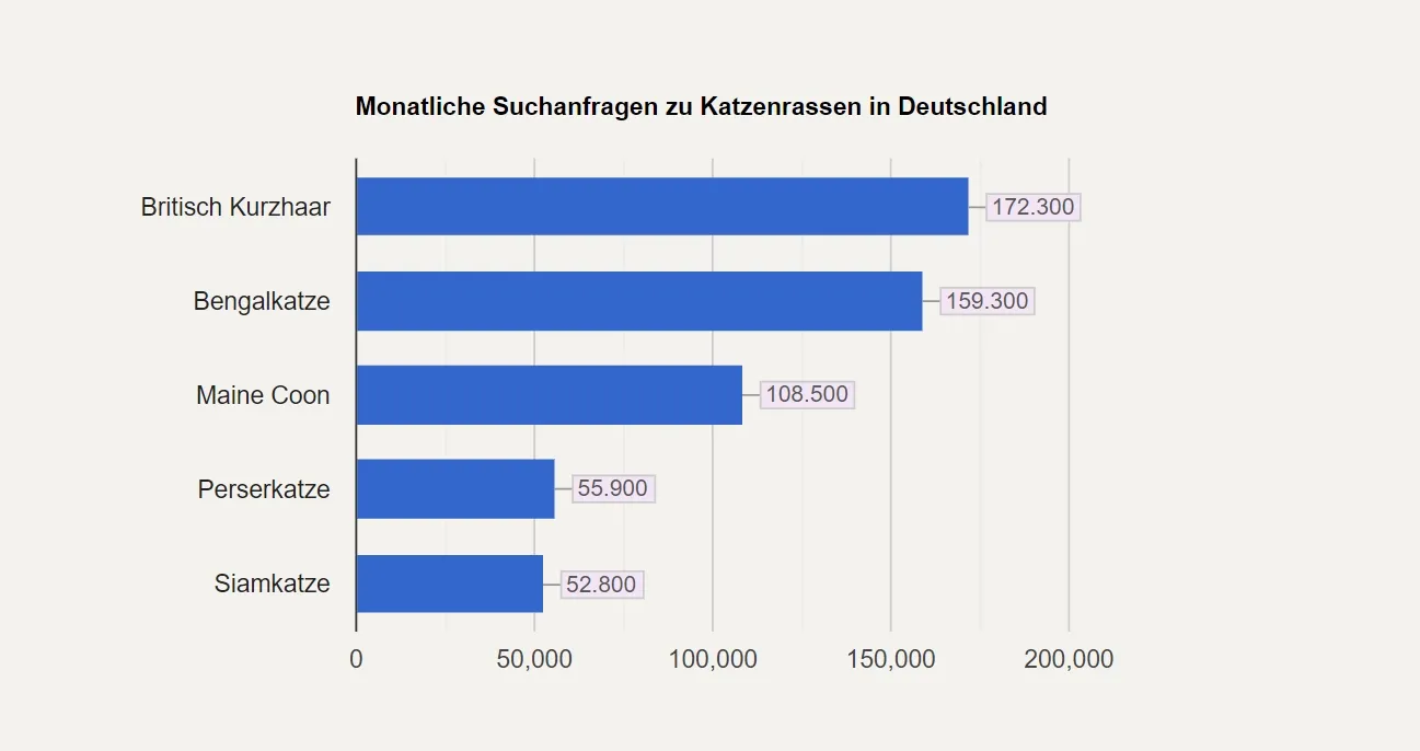 Grafik zeigt die monatlichen Suchanfragen für Katzenrassen. Britisch Kurzhaar ist dabei auf Platz 1