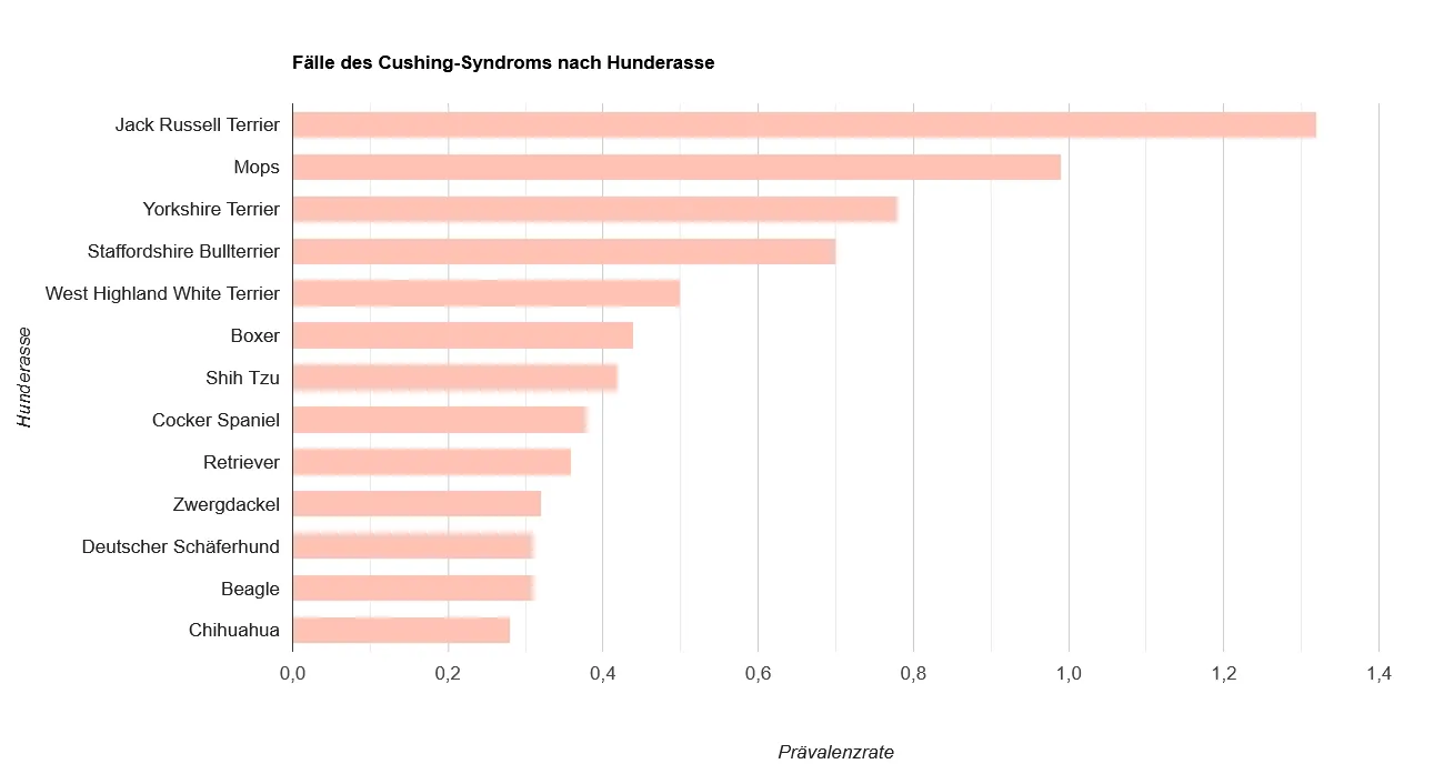 Balkendiagramm der Cushing-Syndrom-Fälle nach Hunderassen in Deutschland. Der Jack Russell Terrier hat die höchste Prävalenzrate.