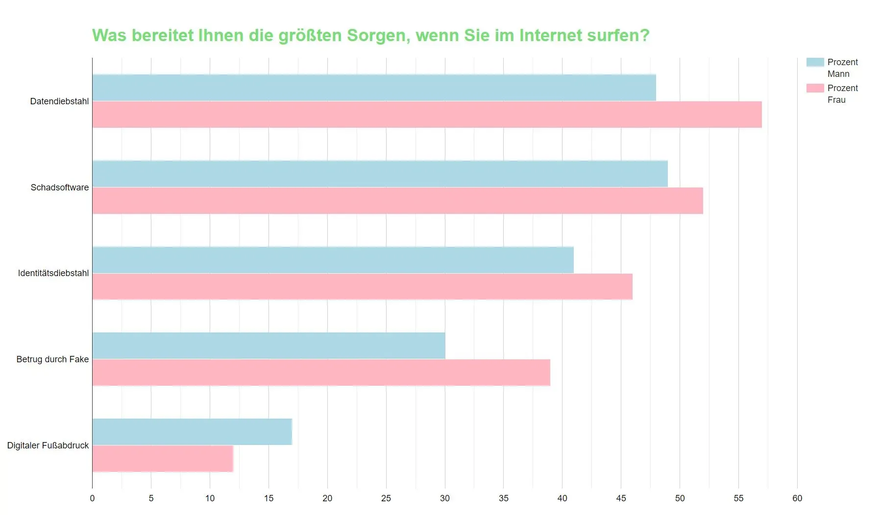 Balkendiagramm der Internetbedenken: Datendiebstahl, Malware, Identitätsdiebstahl, Betrug und gefälschte Inhalte. Männliche (blau) und weibliche (rosa) Antworten im Vergleich.