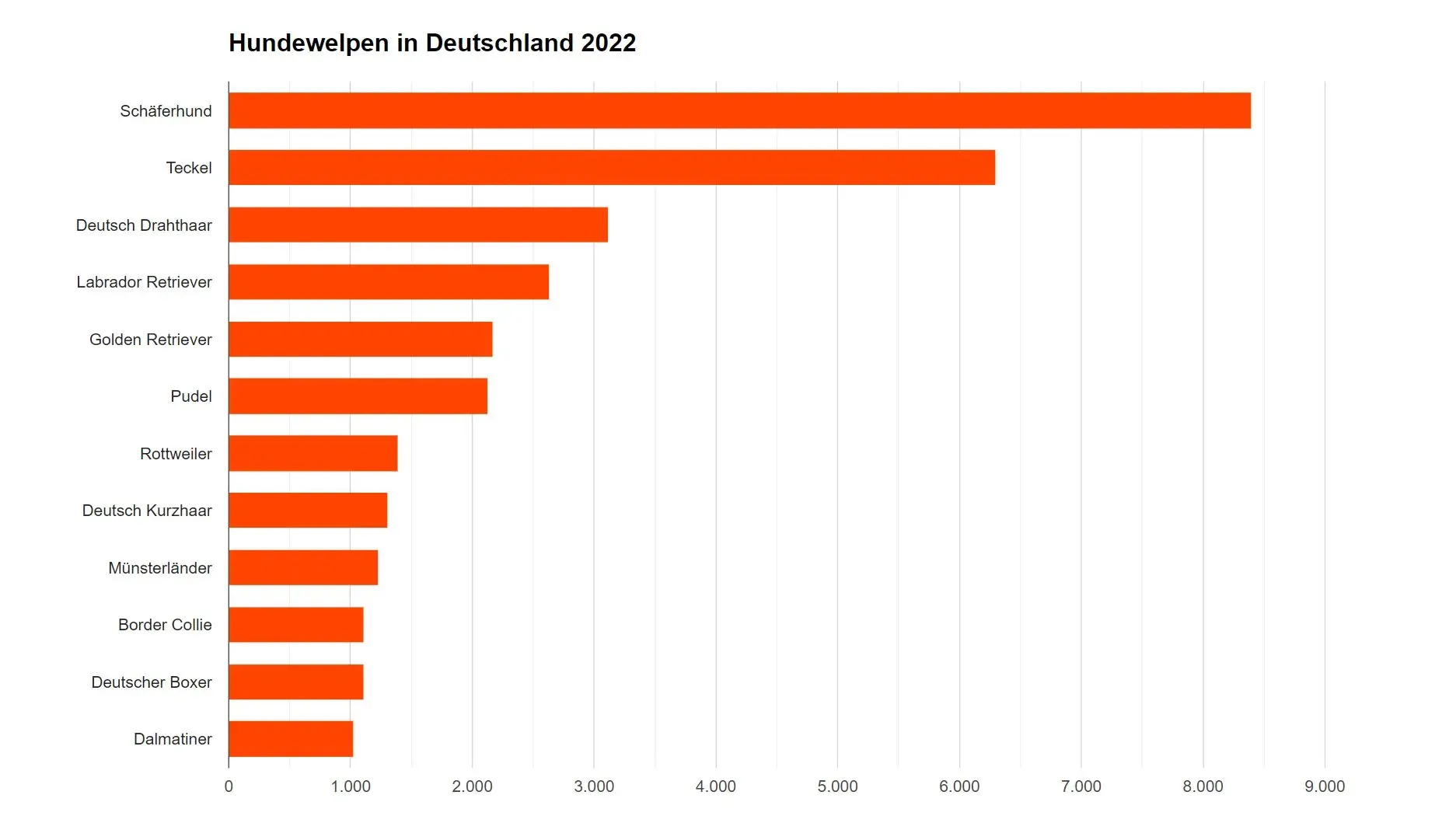 Balkendiagramm mit den beliebtesten Hunderassen in Deutschland im Jahr 2022. An der Spitze steht der Schäferhund, gefolgt von Teckel und Deutsch Drahthaar.