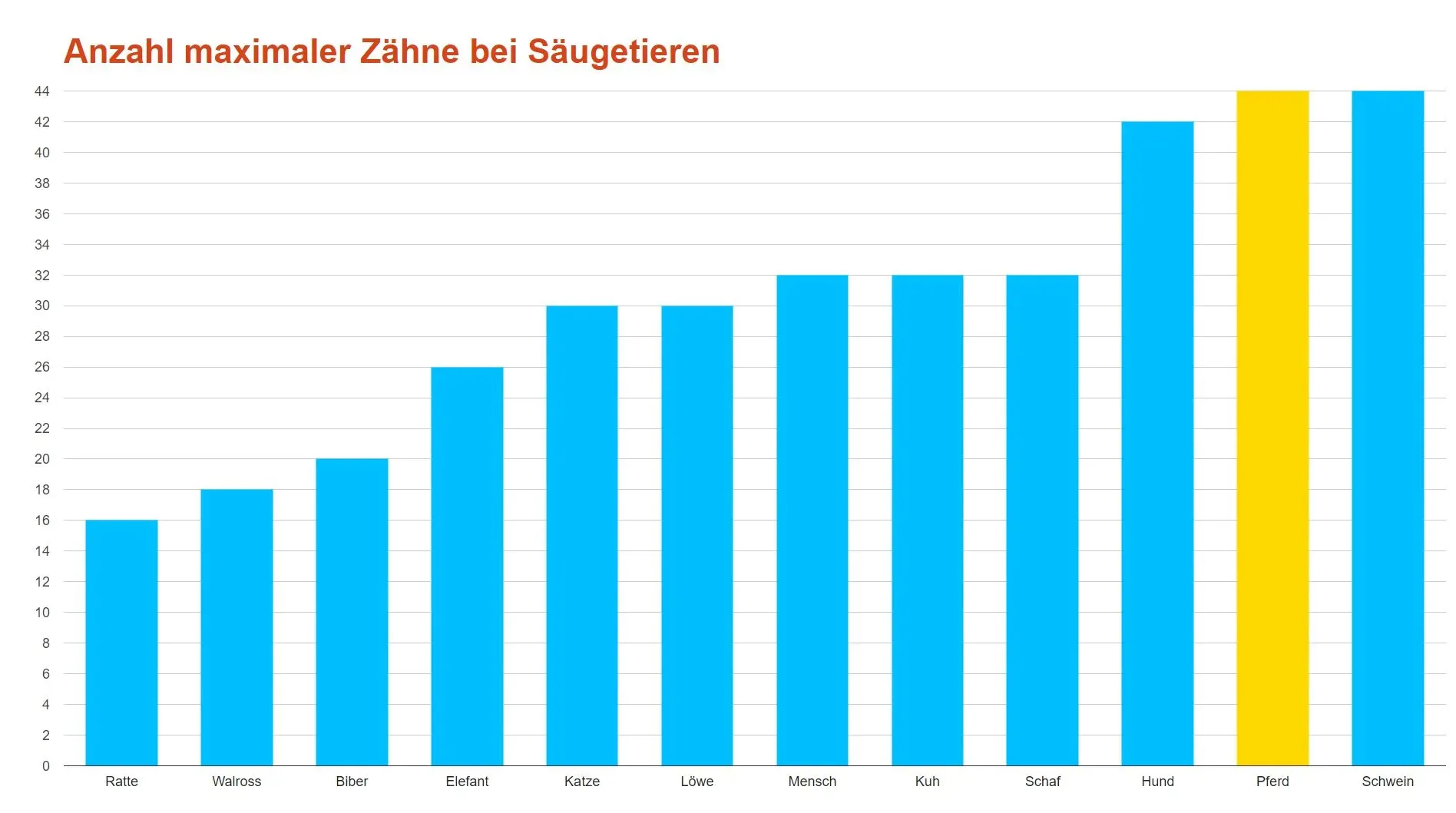 Balkendiagramm der maximalen Zähne bei Säugetieren. Kategorien: Ratte, Wal, Biber, Elefant, Katze, Löwe, Mensch, Kuh, Schaf, Hund, Pferd, Schwein.