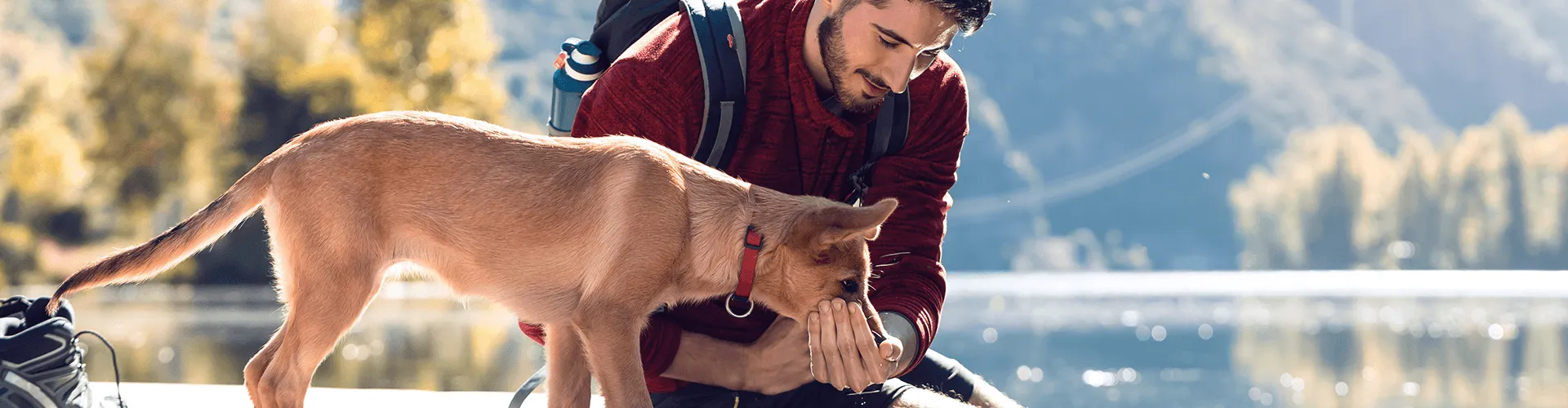 Mann im roten Kapuzenpulli kniet an einem See und füttert einen hellbraunen Hund. Rucksack neben ihm, mit Bäumen und Bergen im Hintergrund.