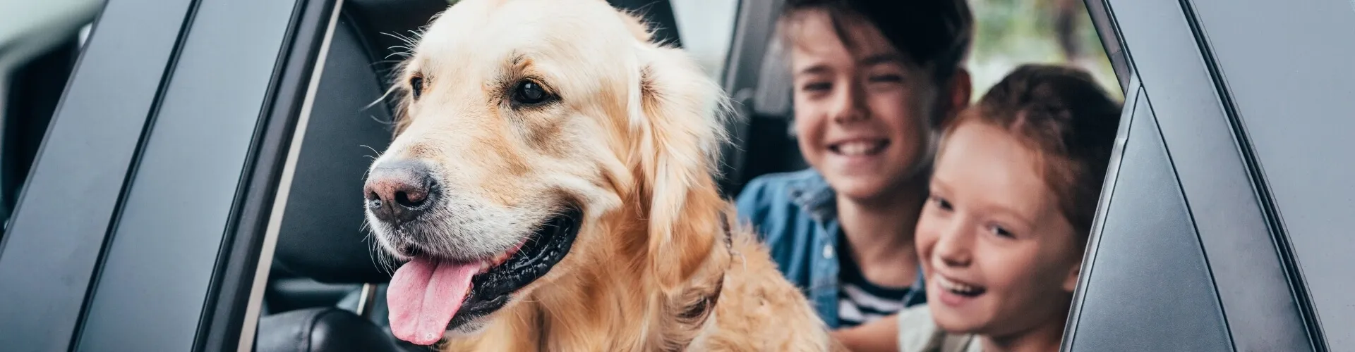 Golden Retriever mit herausgestreckter Zunge lehnt sich aus einem Autofenster, begleitet von zwei lächelnden Kindern auf dem Rücksitz.