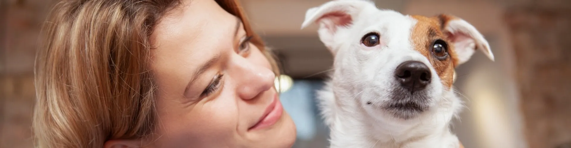 Frau lächelt einen kleinen weiß-braunen Hund mit neugierigem Blick an.