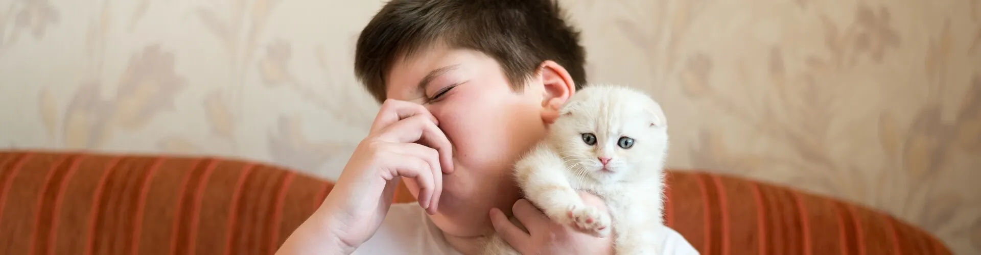 headerbild-haustiergeruch-in-der-wohnung-beseitigen Ein Junge hält sich die Nase zu, während er ein kleines weißes Kätzchen im Arm hält. Er sitzt auf einem gestreiften orangefarbenen Sofa mit einer gemusterten Wand im Hintergrund.