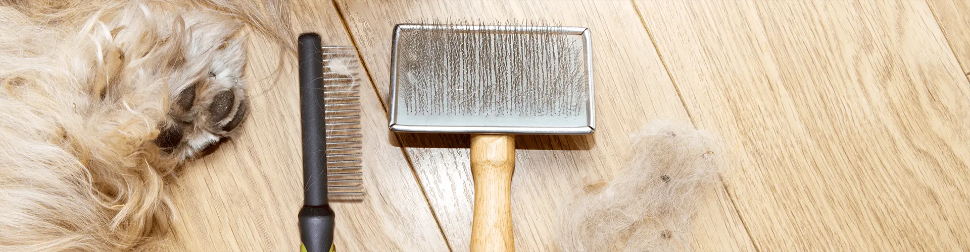Hundepflegeutensilien auf dem Holzboden: ein Metallkamm und eine glatte Bürste neben losem Fell und einer flauschigen Hundepfote.