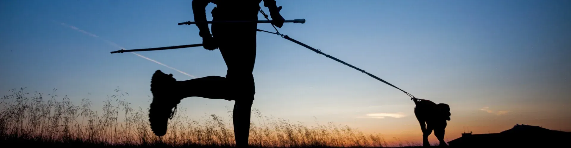 Silhouette einer Person, die mit Trekkingstöcken läuft und einen Hund an der Leine führt, bei Sonnenuntergang. Gras und ein klarer Himmel bilden den Hintergrund.