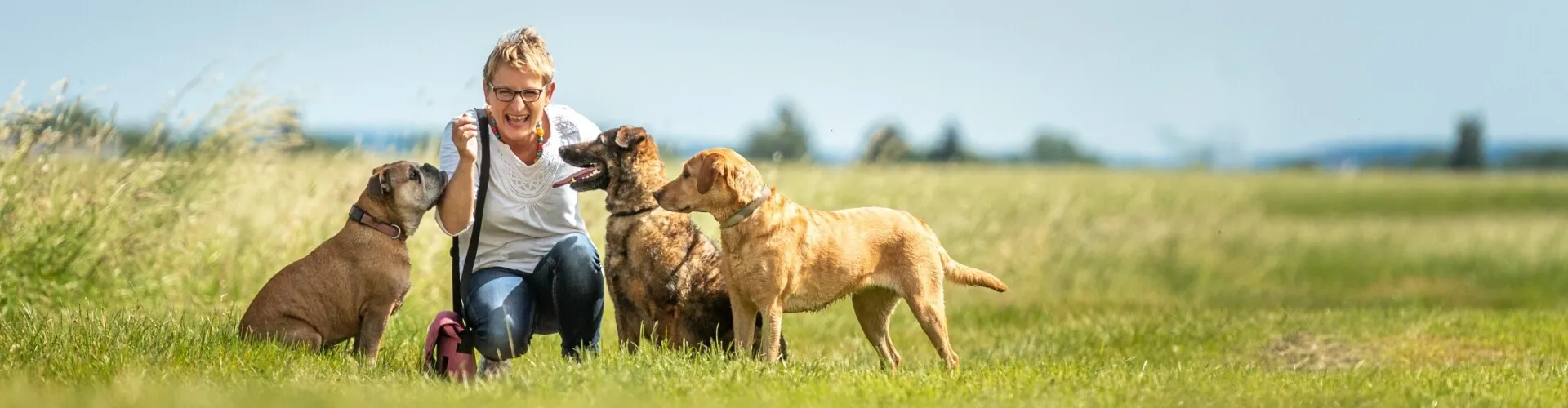 Person kniend auf einer Wiese mit vier angeleinten Hunden unter freiem Himmel.