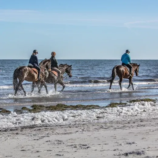 Drei Menschen reiten auf Pferden entlang eines Sandstrandes mit sanften Wellen unter einem klaren blauen Himmel.
